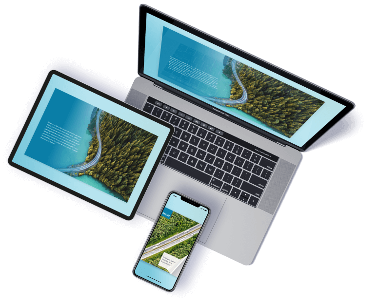 Formato de flipbook adaptable